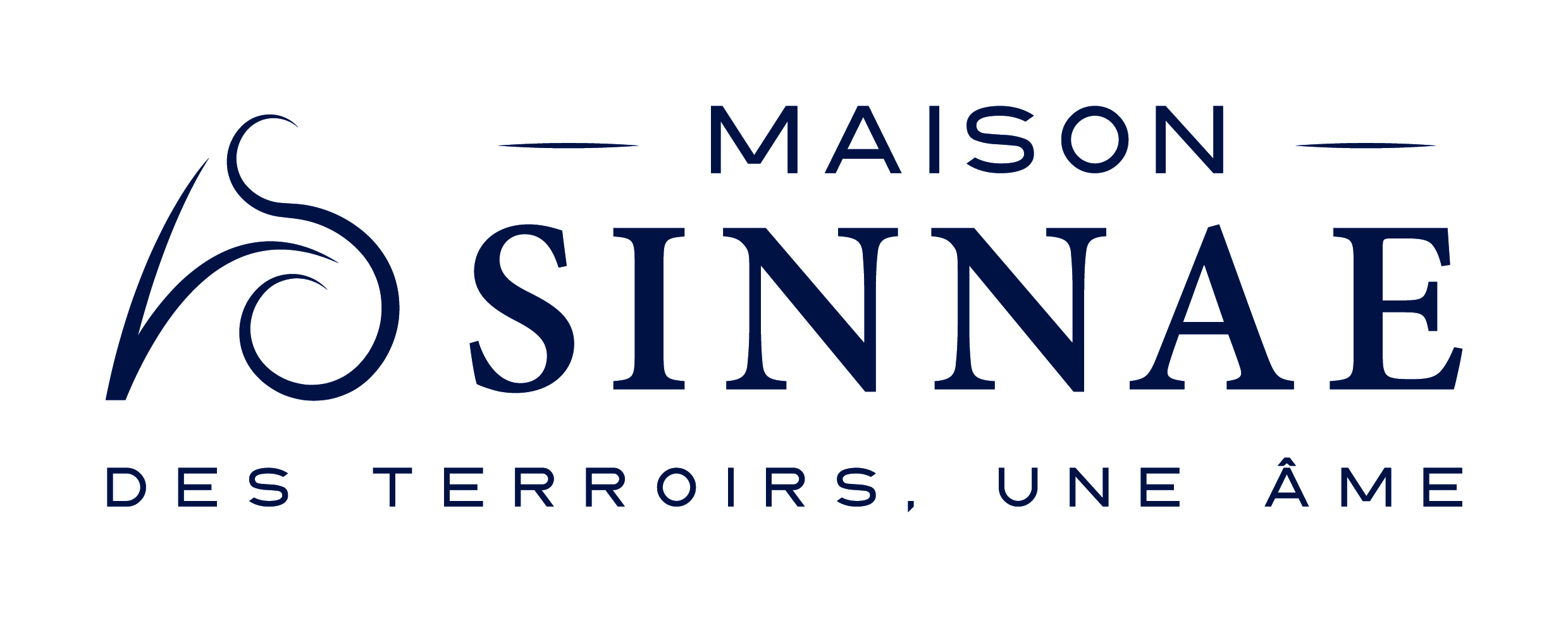 Logo Signature bleu 1