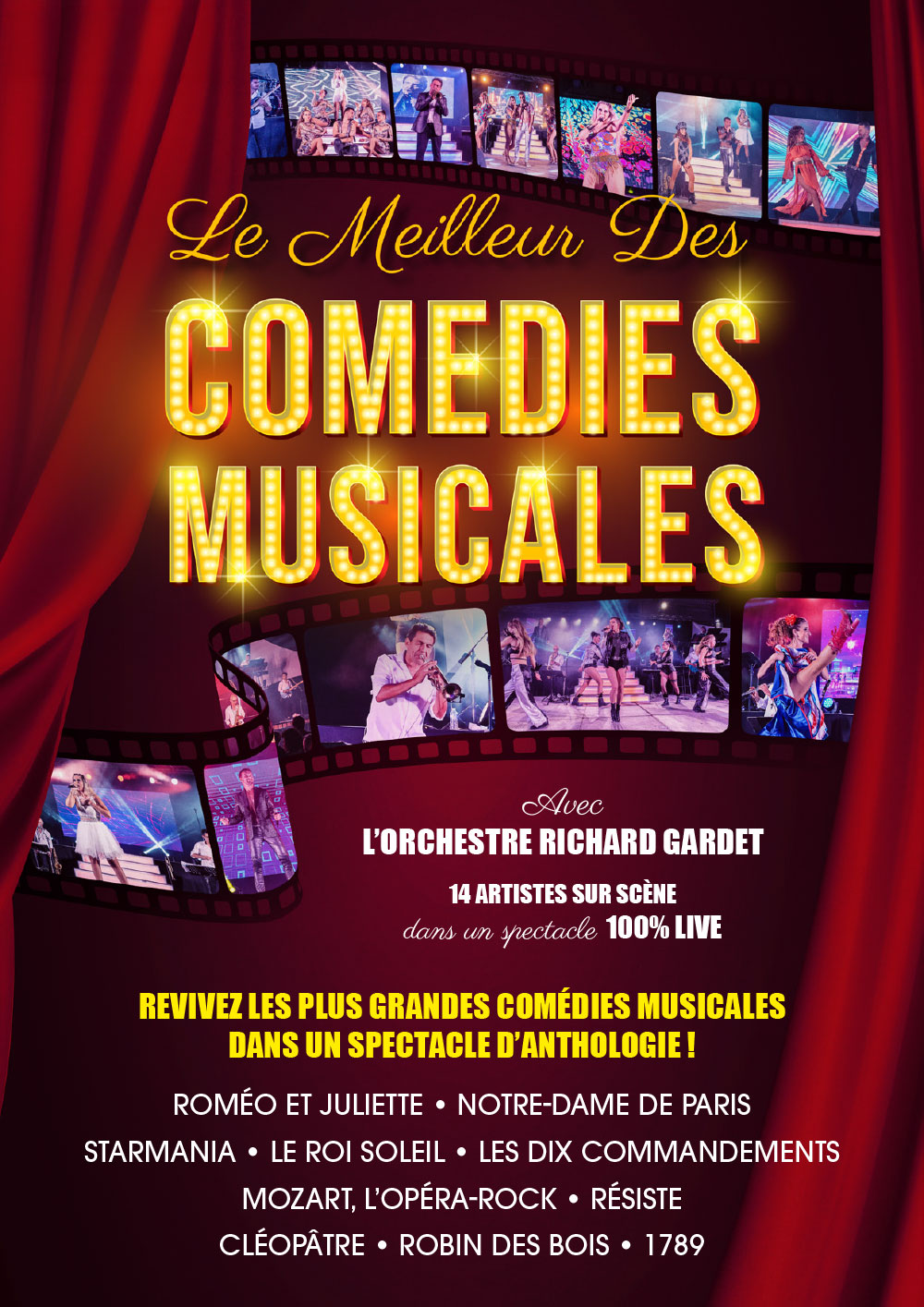 VIGNETTE WEB COMEDIES MUSICALES