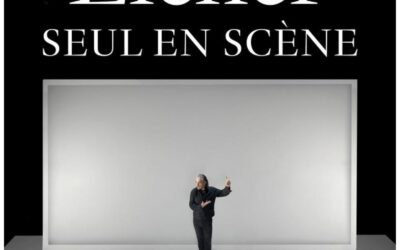 Vias 5 Stephan Eicher – Seul en Scène – 19 Mars 2027